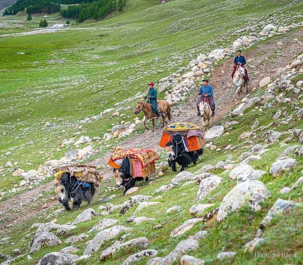 welcome2mongoli's tweet photo. Fun Fact: It takes 2 camels or 3 yaks to carry a Mongolian ger! ๐ฎ
#GroovYyurts #MongolianCulture #Mongolia
via Groovy Yurts https://t.co/1WwjMl9W6v