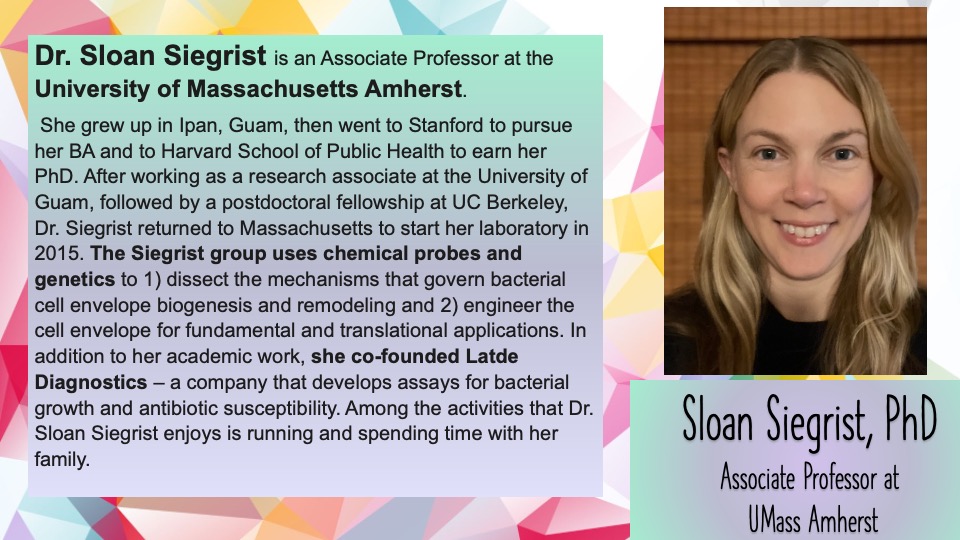BostonBacteria's tweet photo. Today we celebrate Dr. Sloan Siegrist, an associate professor @UMassAmherst ! Dr. Siegrist's lab uses chemical probes and genetics to learn about bacterial cell envelope remodeling! https://t.co/PmsAnP6moH