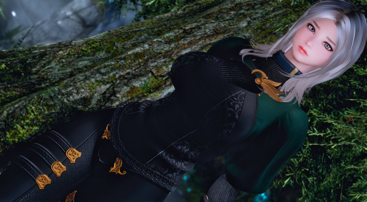 タカイチ【Skyrim】 (@Takaichi_Skyrim) / Posts / X
