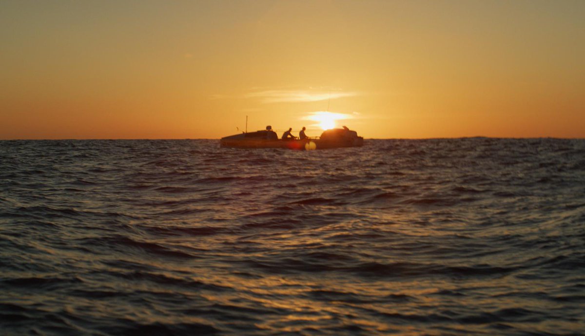 Odelay Films tweet media