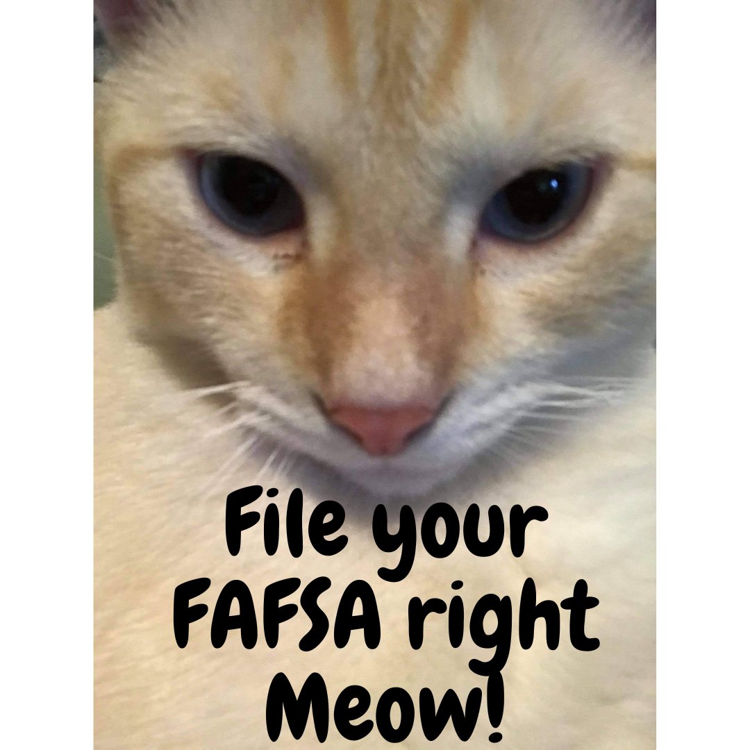 PFWFinAid's tweet photo. TONIGHT! PFW professional staff can help you file your FAFSA! Come see us in Kettler Rm 102 after 5pm https://t.co/hiW1jQGQxS