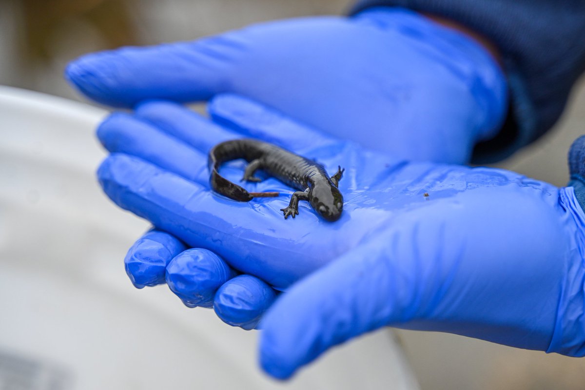 NE Ohio Regional Sewer District tweet media