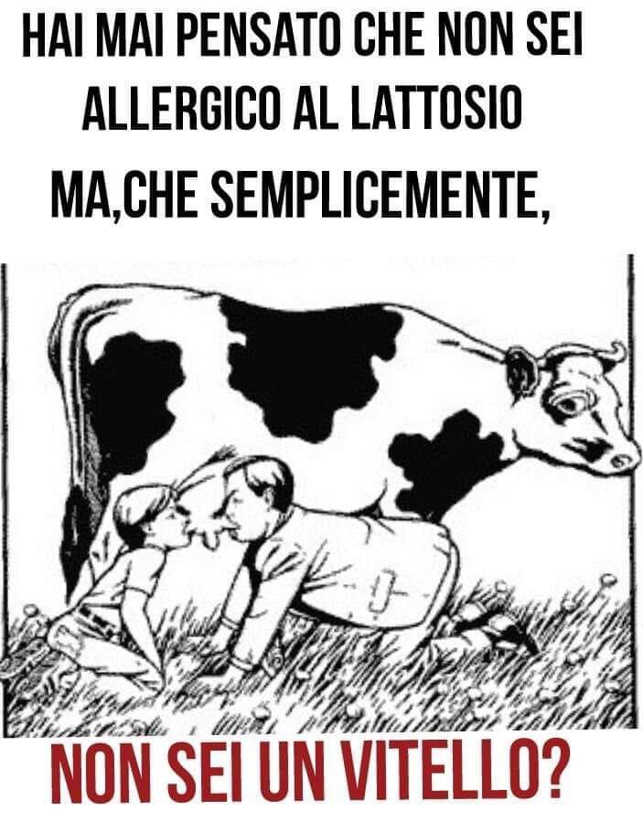 ilvegateo's tweet photo. É che semplicemente non sei un vitello? O un agnello? Il nostro organismo è preparato per il #latte #umano e nessuno ne è #allergico o #intollerante #GoVegan #uominiedonne #Napoli #GoVegatheist #TheMandalorian https://t.co/zsYB75FU5I