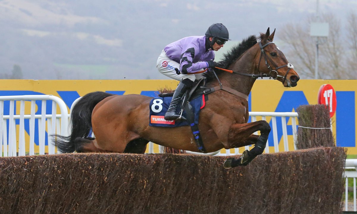 Elite Owners Group Fan Club tweet media