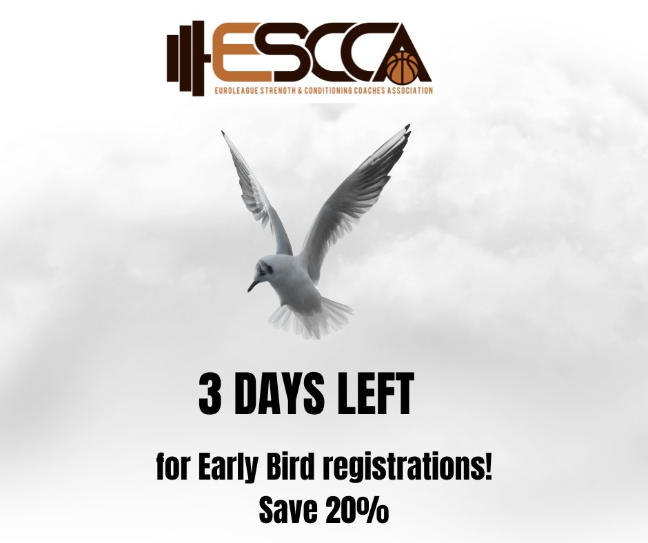 Don't miss out on all the fun in Prague! Register for our 3rd ESCCA Summit ASAP:)

escca.net/portfolio/3rd-…