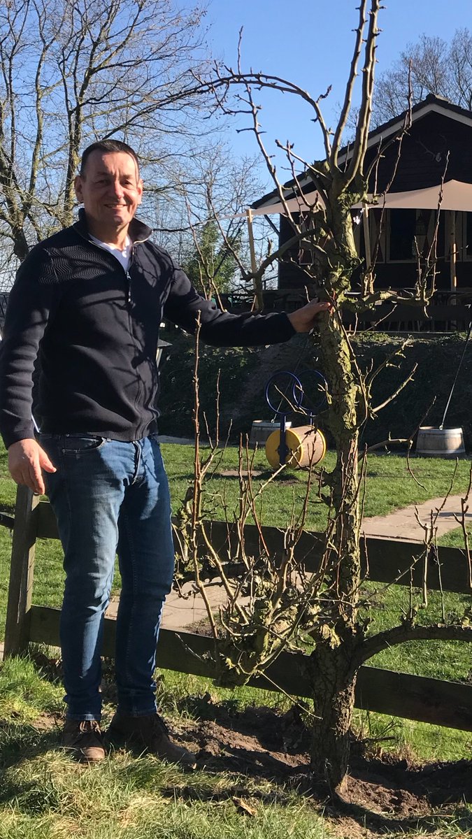 Een perenboom op pelgrimsvoeten! Van onze halteplaats de Waalgaard in Weurt naar halteplaats de Diepen in Milsbeek. Tegen de richting in ook nog eens... walkofwisdom.org/2023/perenboom…