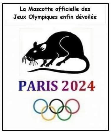 Oxallys's tweet photo. Bientôt les Jeux Olympiques...😄🐁🐁🐁 #jeuxolympiques https://t.co/vqSCpk788g