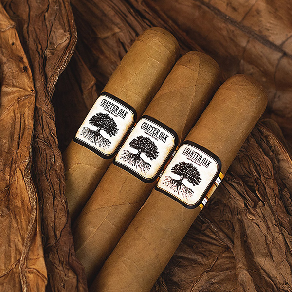 Burns Tobacconist tweet media