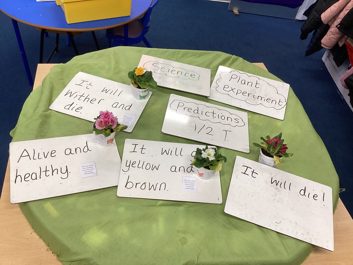 HorwichParishCE's tweet photo. 1/2T. Have been experimenting and predicting what will happen when plants are placed in different environments. #HPY1 https://t.co/lMCL0U2g7G