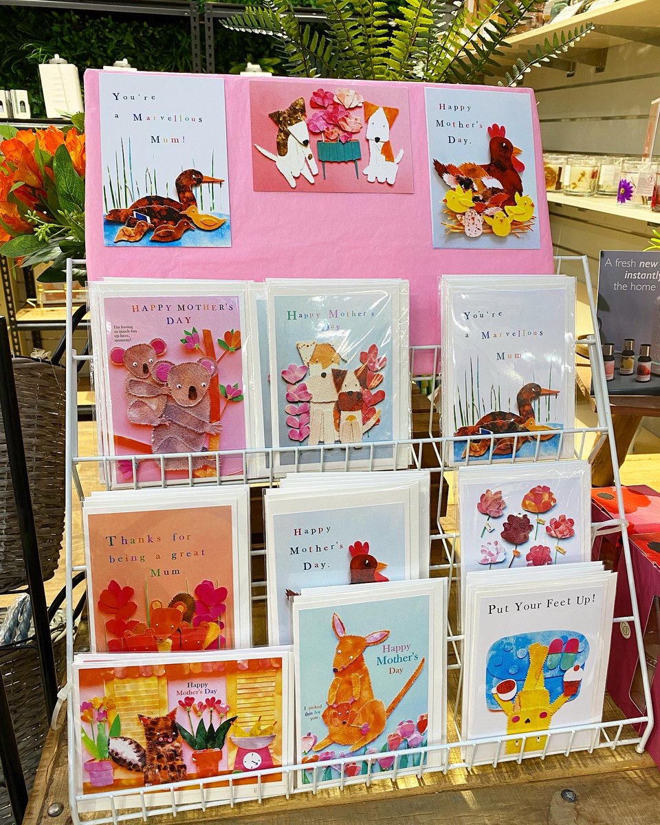 KillingBdesigns's tweet photo. Our Mother’s Day cards are available at @Notcuttsuk ! 🪴 🛒 💌 #notcutts #norwichlife #airedale #airedales #norfolk #dogs #killingbdesigns #killingbcards ©️https://t.co/Ea9VrW2M5n https://t.co/Xe8lkLlhke