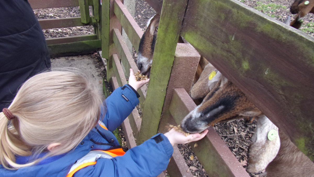 EcttHub's tweet photo. Huge thanks to @MWAnimalPark for being so accommodating today. The children and their families loved seeing the animals and being able to be so close to them. We're so lucky to have this provision in our local area. @poundparknursch @MulgravePrimary #SE7 #Charlton https://t.co/Vca4LWX5HG
