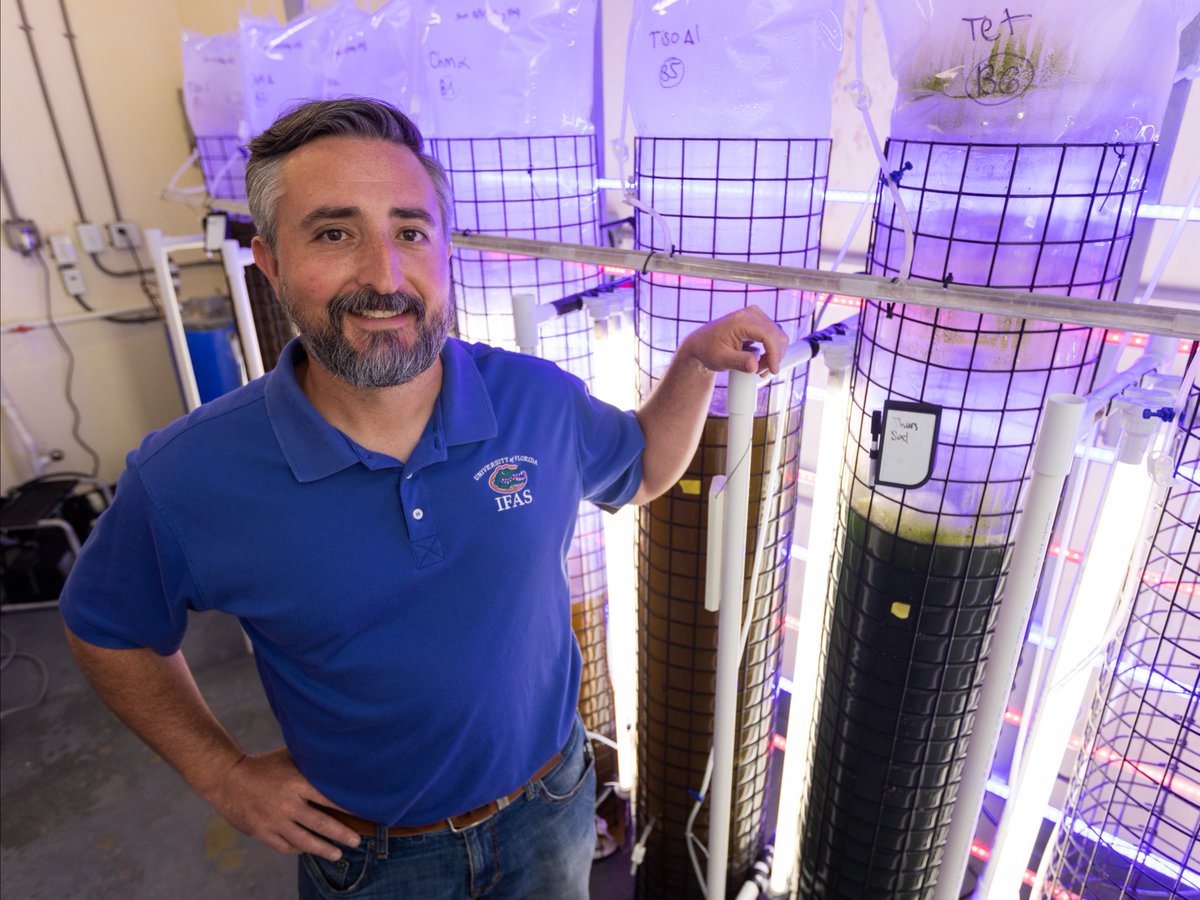 UF IFAS Solutions (@uf_ifas) on Twitter photo Matt DiMaggio is up to the TAL order of taking over for Florida #aquaculture icon Craig Watson, who is retiring after more than 25 years leading <a href="/UF_IFAS_TAL/">UF/IFAS TAL</a>.
Learn more about DiMaggio's vision for the lab 🐠 bit.ly/429BTTV Matt DiMaggio is up to the TAL order of taking over for Florida #aquaculture icon Craig Watson, who is retiring after more than 25 years leading <a href="/UF_IFAS_TAL/">UF/IFAS TAL</a>.
Learn more about DiMaggio's vision for the lab 🐠 bit.ly/429BTTV