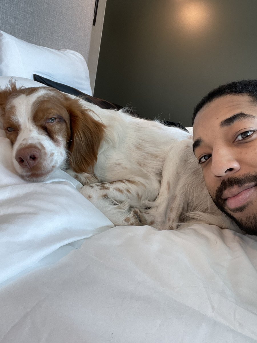 DanielJDThomas's tweet photo. Say hi to Ally the Brittany Spaniel!
@sarahbrune4 and I brought our travel buddy to Chicago this week.
#brittanyspaniel #traveldogs #Chicago https://t.co/FQ8UzsPerT