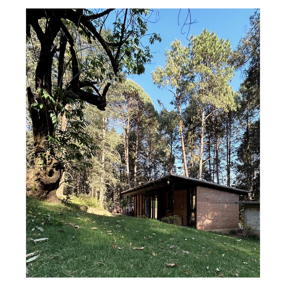EstudioManuel's tweet photo. casa de auto construcci��n asistida por nuestro manual, construida personalmente por la familia propietaria https://t.co/kLm7Lkl7Xu