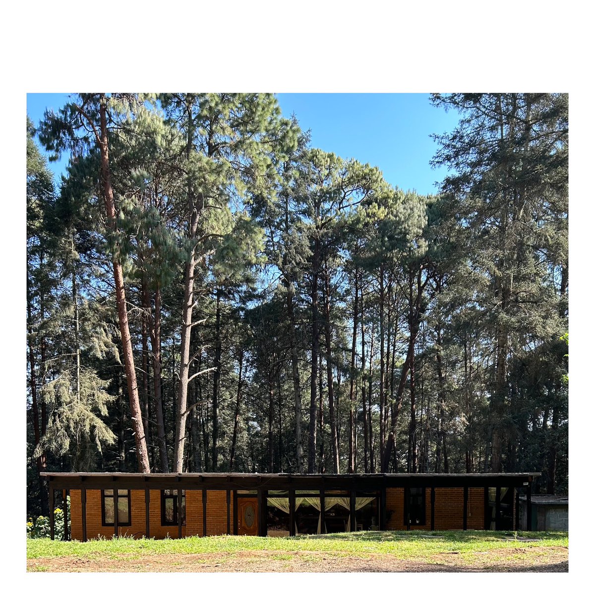 EstudioManuel's tweet photo. casa de auto construcci��n asistida por nuestro manual, construida personalmente por la familia propietaria https://t.co/kLm7Lkl7Xu