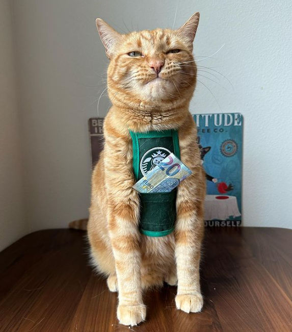 CatWorkers's tweet photo. Tipping your hard-working barista > paying it forward. https://t.co/iyxpfXoqIZ