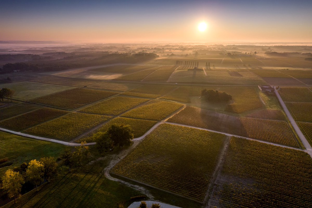 Where the miracle starts…
#Yquem #onceinalifetime 

Enjoy responsibly.