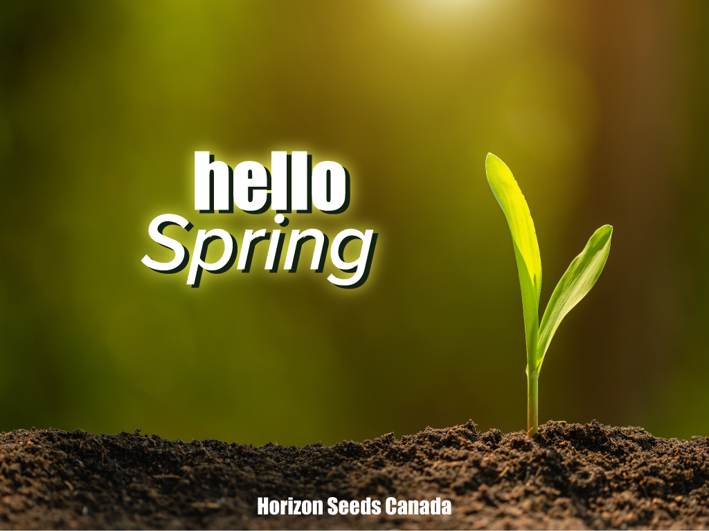 HORIZON_SEEDS's tweet photo. Spring is here! It won't be long now until planters are moving through fields for #plant23
#FarmFamilyProud #CanadianOwnedCanadianGrown
#agriculture #cowchow #silagespecific https://t.co/VpUGF4ytlU