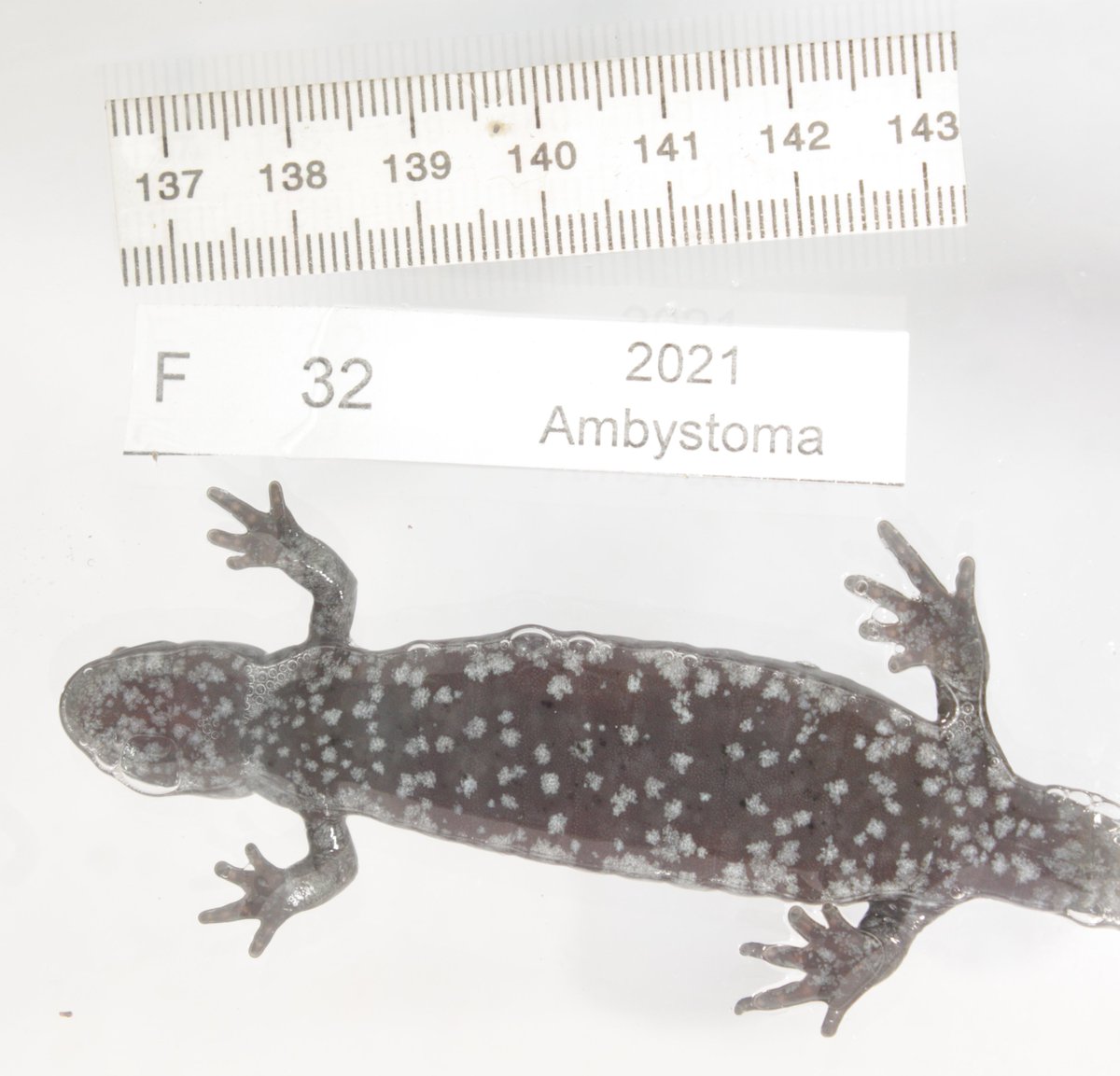 NE Ohio Regional Sewer District tweet media