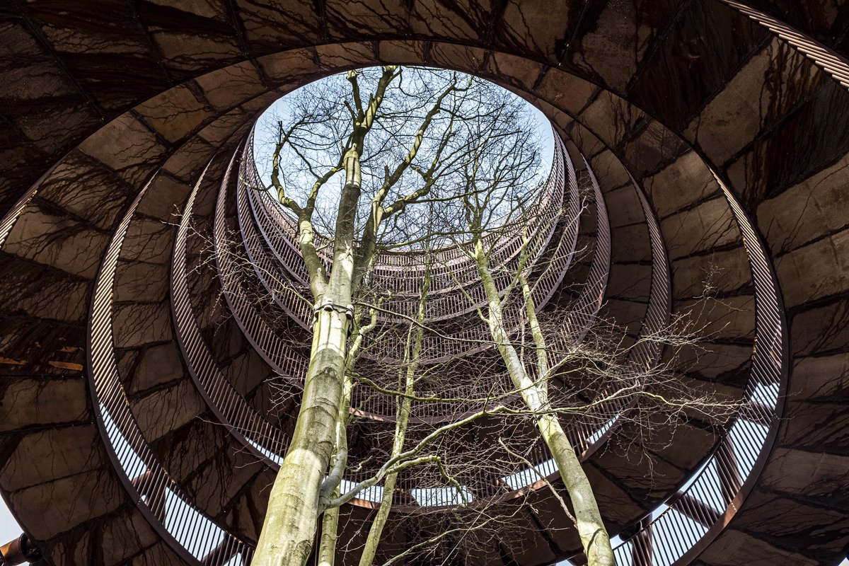 MrVikas's tweet photo. The #ForestTower in #Denmark (just outside Copenhagen), just stunning. https://t.co/DYizZyJoSc
