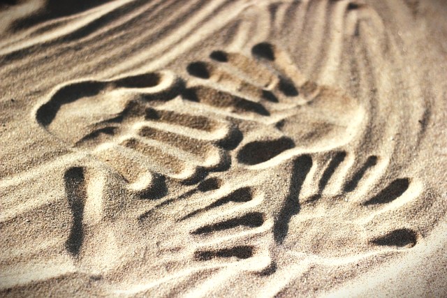 TorahOrg's tweet image. THE EXPRESSION IS, “You only get one shot at a first impression,” and in life, a first impression can mean everything. A good one can open doors for a person who might not be that worthy, and a bad first impression can leave a worthy person always ...

torah.org/torah-portion/…