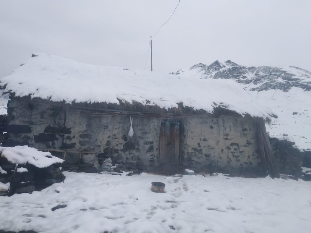RuthLuqueIbarra's tweet photo. #Urgente Esta es la situación en varias comunidades del distrito de #Marcapata Quispicanchi #Cusco. Desde hace más de 3 días sufren intensa nevada q afecta a la población, animales, agricultura 🧵

1/3 https://t.co/zKDmvCWe9r