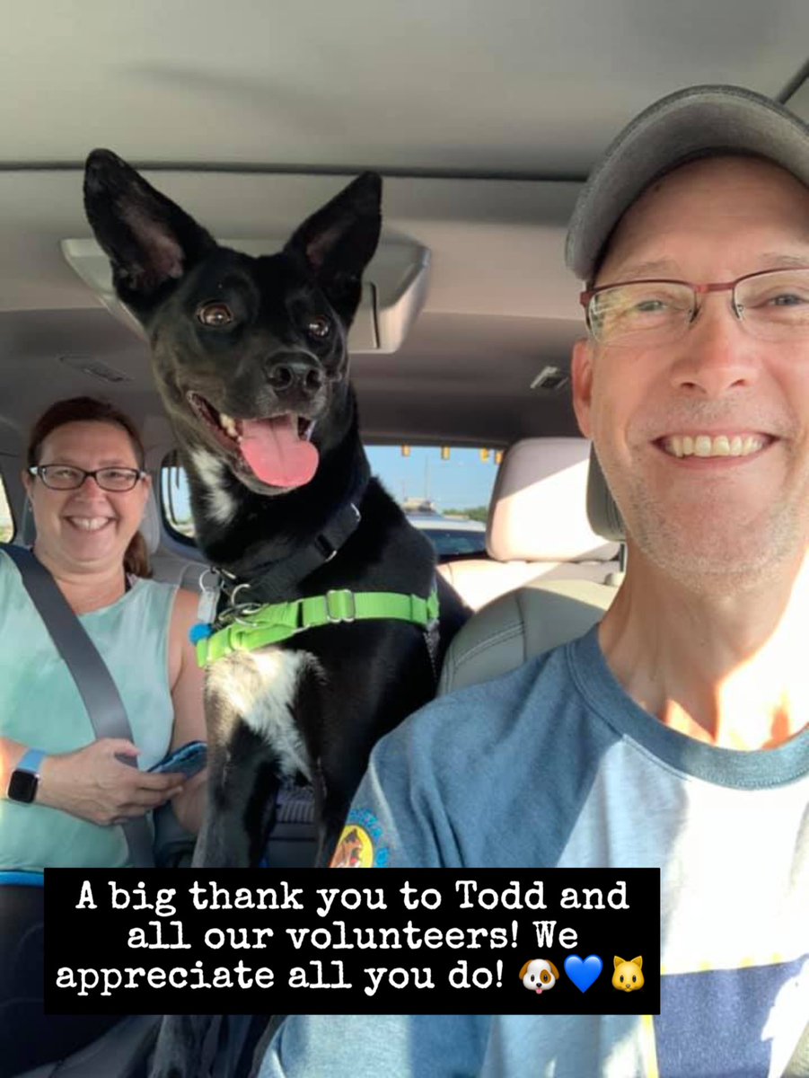 lostdogrescue's tweet photo. 💛💙🙌 Volunteer Spotlight 🙌💙💛
Read Todd's story! (in the photos)
Become a #volunteer 🐶🐱
https://t.co/PdbrwPAYpM
#feelgoodthursday #volunteerspotlight #donate #giveback #community #nonprofit #makeadifference #availableforadoption #adoptdontshop #dmvcats #dmvdogs #thankyou https://t.co/143xmFbFqt