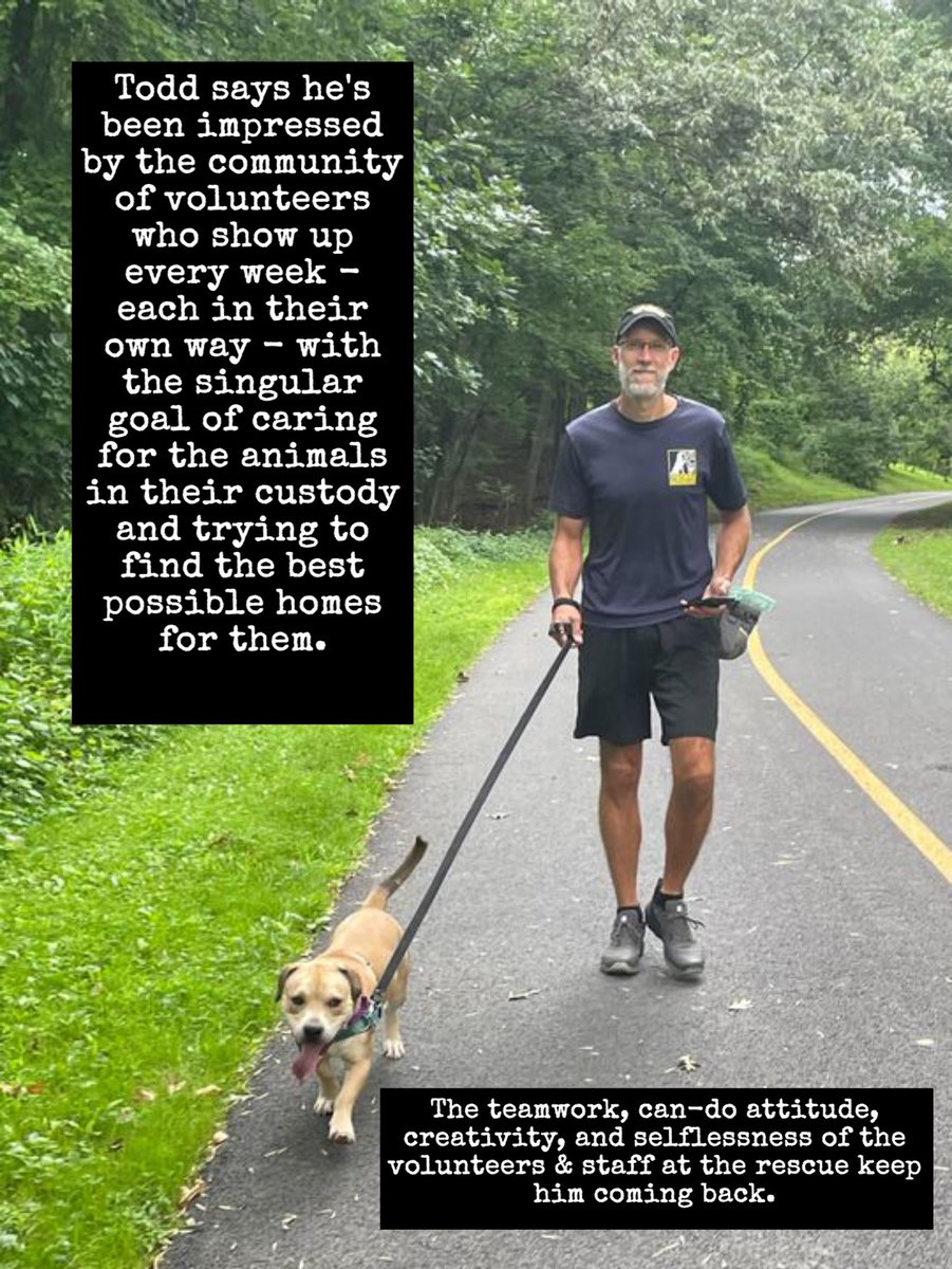 lostdogrescue's tweet photo. 💛💙🙌 Volunteer Spotlight 🙌💙💛
Read Todd's story! (in the photos)
Become a #volunteer 🐶🐱
https://t.co/PdbrwPAYpM
#feelgoodthursday #volunteerspotlight #donate #giveback #community #nonprofit #makeadifference #availableforadoption #adoptdontshop #dmvcats #dmvdogs #thankyou https://t.co/143xmFbFqt