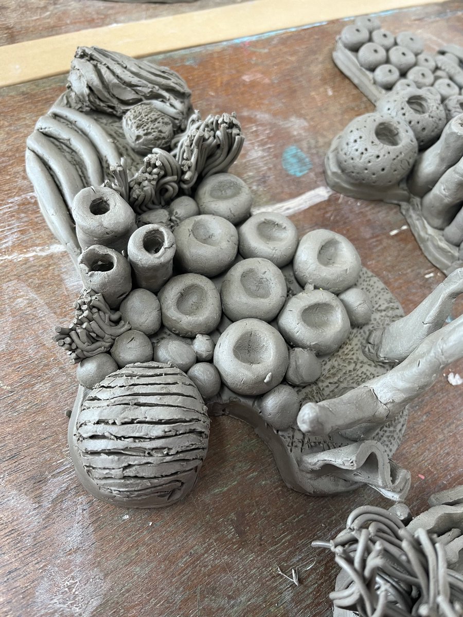 BeverleyDobbie's tweet photo. Some great clay coral taking shape with my S2 class today. #shape #texture #form ⁦@LasswadeHSC⁩ https://t.co/zcYbiB8uHr
