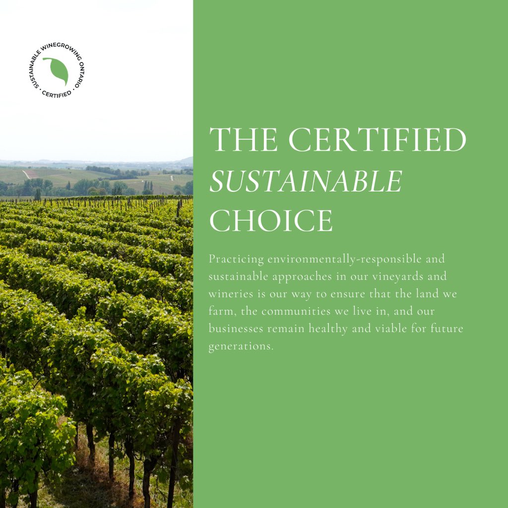 Why make the #certifiedsustainable choice? 🌎🌿