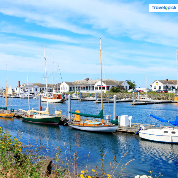 travelopick's tweet image. Charming, Laid-back, and captivating, Port Townsend is the answer to that romantic getaway, far away from the madding crowd without sacrificing modern-day luxuries.

#porttownsend #porttownsendwashington #porttownsendwoodenboatfestival #washingtonstate #vacation #couplesvacation