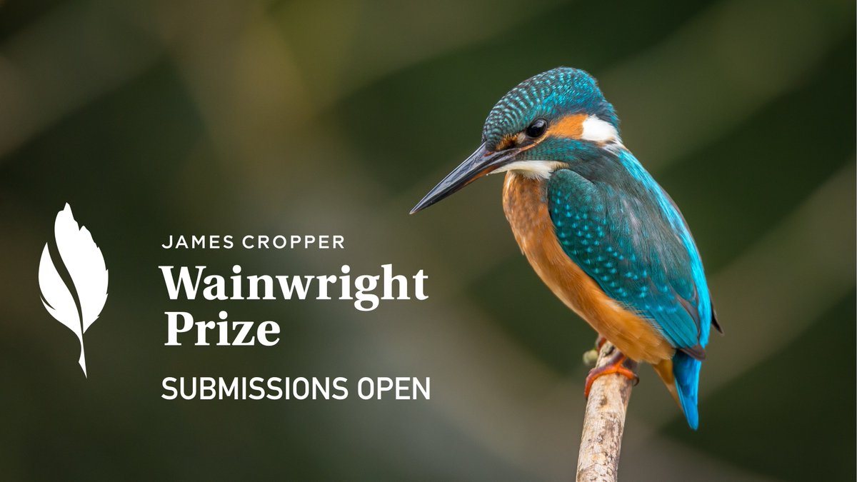 We are delighted to announce that submissions for the James Cropper #WainwrightPrize 2023 are open! We are celebrating our 10th year of the prize, awarding for Nature Writing, Writing on Conservation and Children's Writing on Nature and Conservation.

wainwrightprize.com/submissions-2/