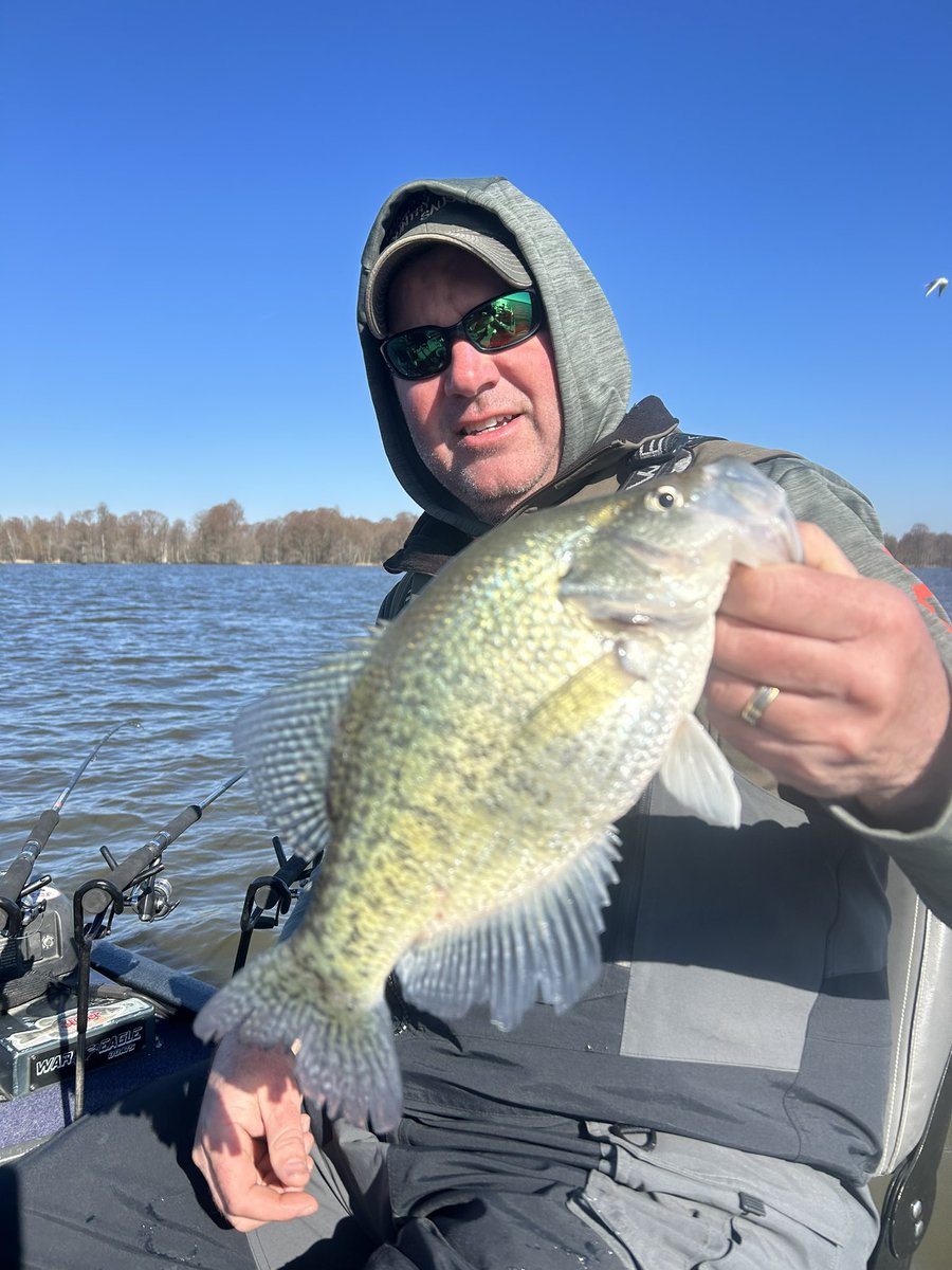 Reelfootguide's tweet photo. More Reelfoot Lake Crappie https://t.co/C8G1OONhwO