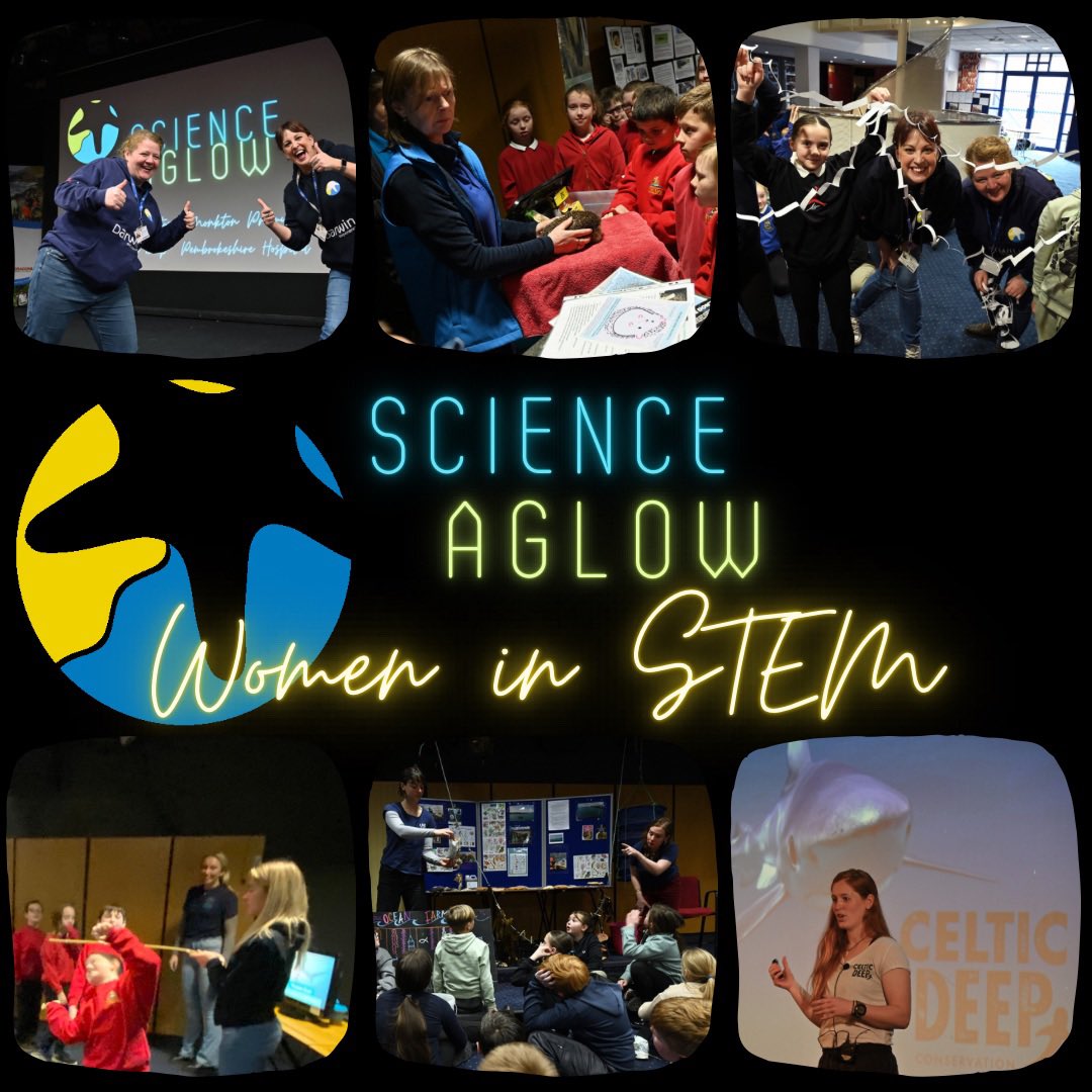 darwincentre's tweet image. Our first Science Aglow since 2019 (thanks covid) and the first that has been delivered entirely by women in STEM! #engagementinscience #stemworkshops #stemcareers #BSW2023 #womeninstem @PembsHogspital @PembsCollege @Car_Y_Mor @SeaTrustWales Celtic Deep