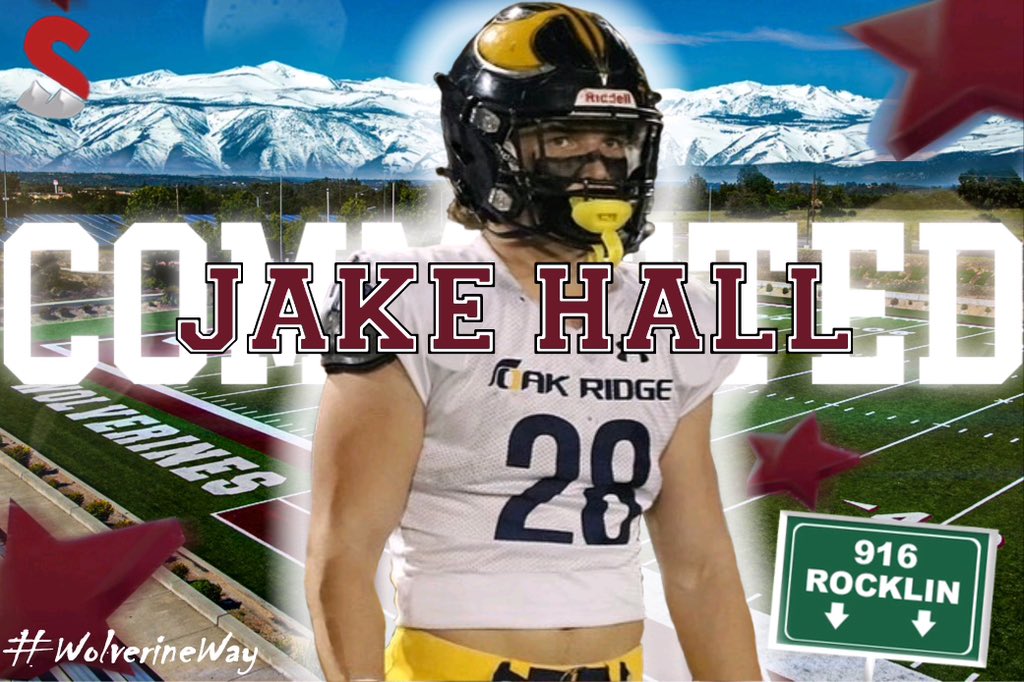 Jake Hall tweet media