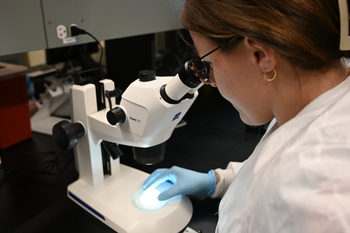 Each day the CCBC Processing Facility staff spend their day accessioning, testing, processing, qualifying, and freezing the donated cord blood units from Ohio, Georgia, and California.  Here’s a few photos of them in action.  Save a Cord. Save a Life.