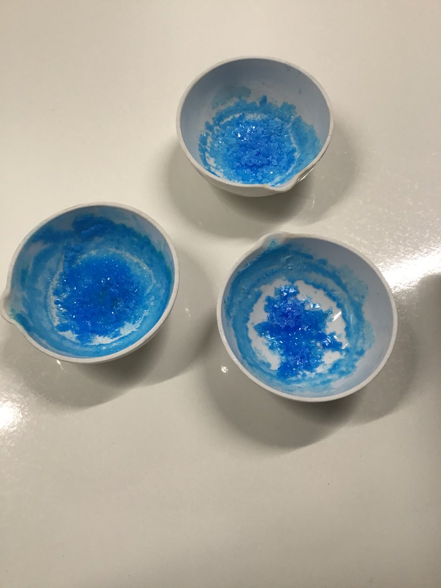 CWCHS_XL's tweet photo. This week our Accelerate pupils have been hard at work in the science laboratory! Using copper oxide power and warm sulphuric acid, they made some beautiful bright blue copper sulphate crystal! Not only that, but the have also been hard at work writing up their experiment! https://t.co/WSOMCAzL8r