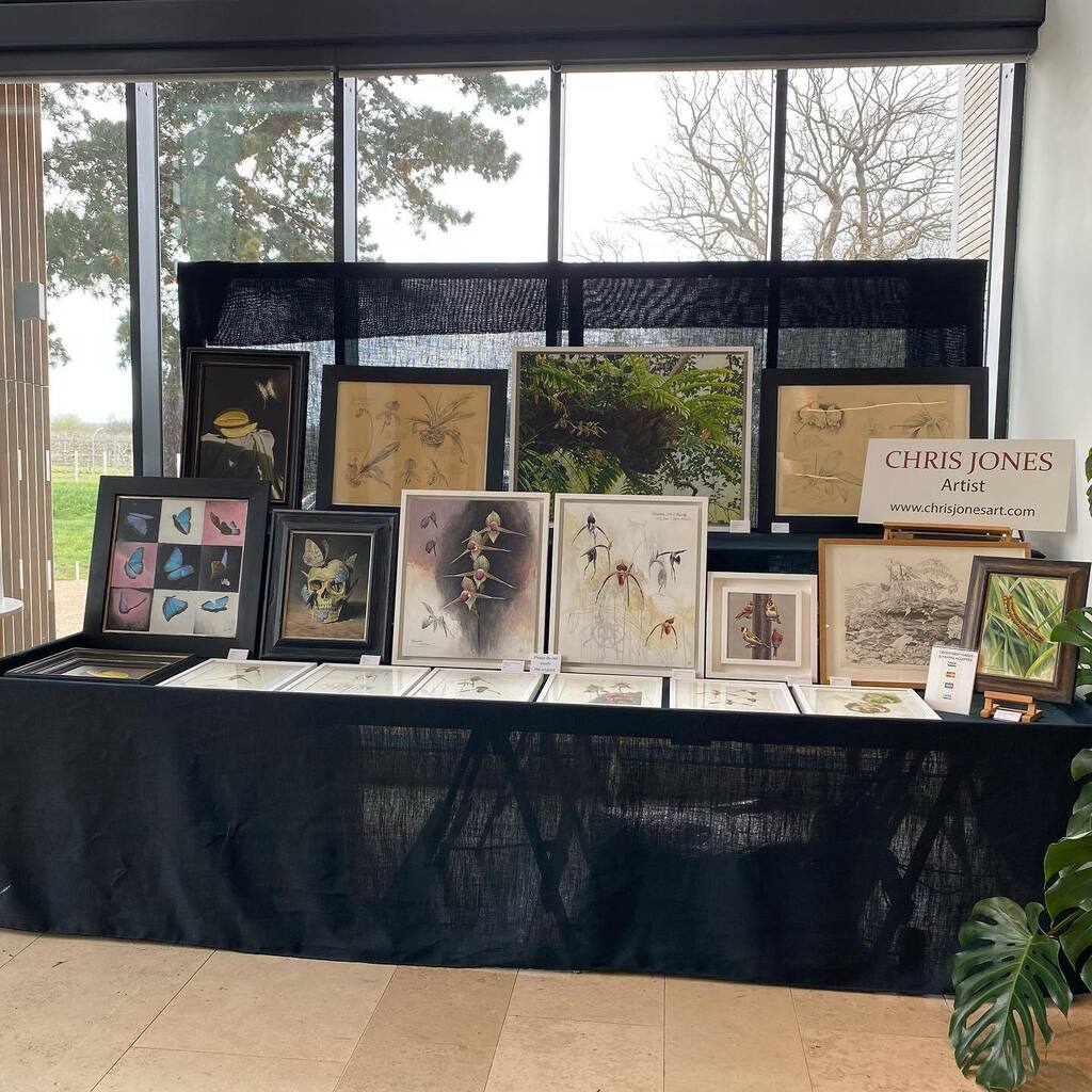 cjonesart's tweet photo. Stand set up ready for the Orchid Show at RHS Garden Wisley this weekend. One red dot already so 🤞for more to come…#rhs #rhswisley #orchidshow #orchid #orchids #orchidart #orchidpainting #botanical #botanicalart #painting #art #artexhibition https://t.co/6YYlXSLybJ https://t.co/sLW5gSdjRd