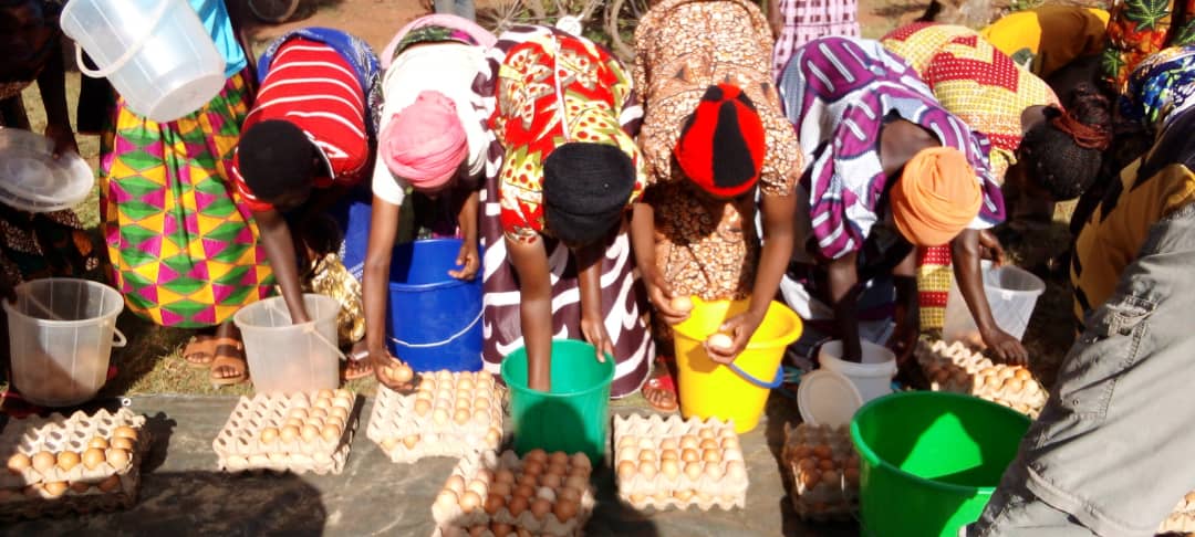 NgomaDistrict's tweet photo. Mu rwego rwo kunganira ifunguro abana bagana ingo mbonezamikurire y'abana bato bahabwa kugirango ribe ryujuje intungamubiri, ababyeyi batangiye kwishamo ibisubizo mugufasha ibyo bigo batanga amagi ndetse n'indagara ngo zigaburirwe abana ku ishuri.
#UmwanakuIsonga https://t.co/o4aJta6Xle