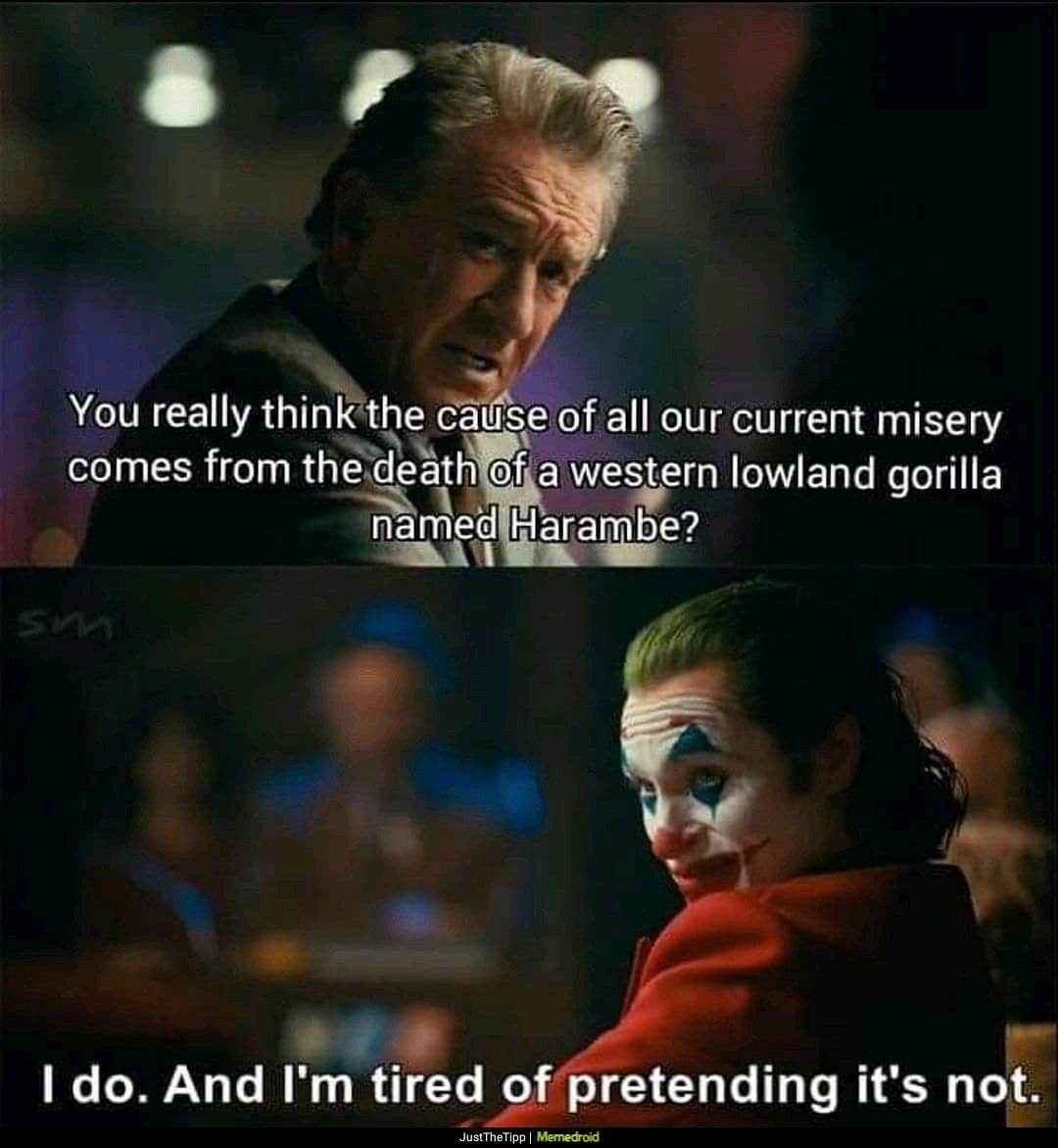 CalDisasters's tweet image. Meme of the Week #MemeOfTheWeek 
#Harambe #meme #memes