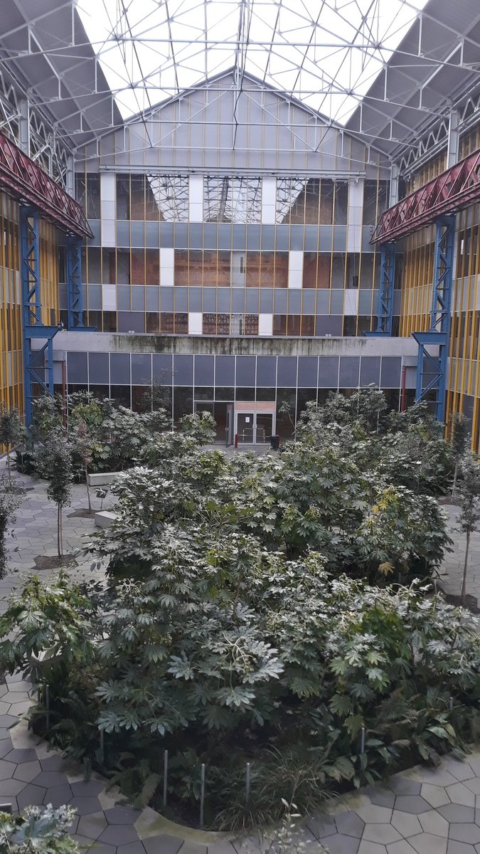 Prof - Doc - Geek tweet media