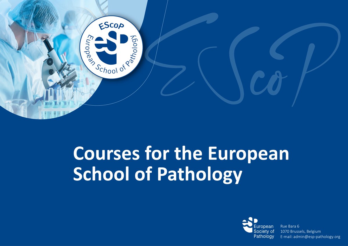 ESP_Pathology's tweet photo. We are very excited to announce the launch of courses for the European School of Pathology (EScoP) under a new format!
The EScoP curriculum will cover the main subjects of Pathology.
All courses are to be provided 4 times during a period of 8 years, each time in another country! https://t.co/7YQ3ZBfhzs