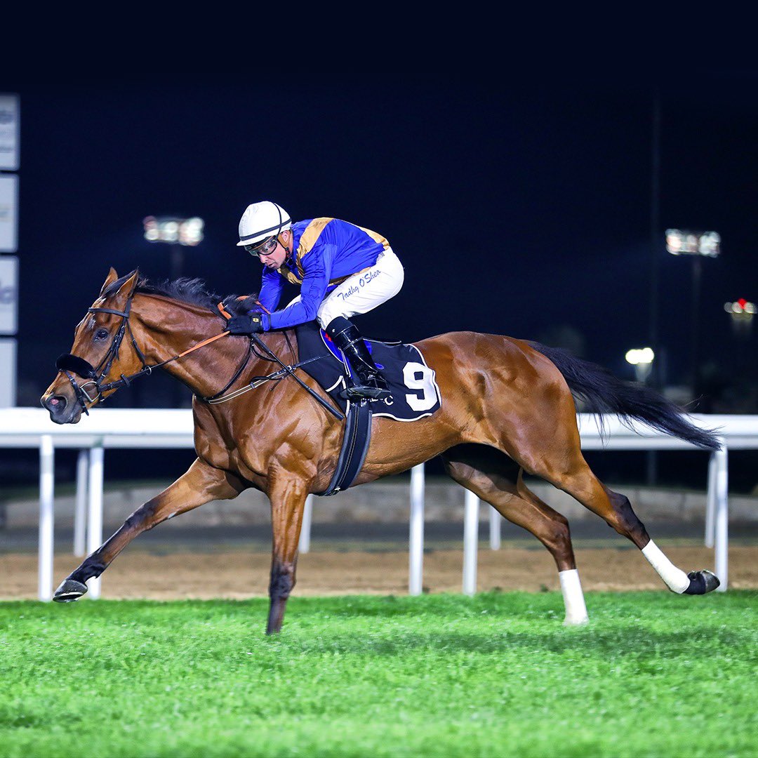 kelliottau's tweet photo. Congratulations to all the connections of the winning horse in Race 6 of the 14th Race Meeting at Abu Dhabi Equestrian Club. @kimelliott.au https://t.co/uCCW8vuFIp