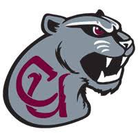 Extremely blessed to receive a full ride offer from <a href="/CU_WBB/">Concord Womens Basketball</a> @TeslaAkers Thank you coach for this opportunity!!❤️