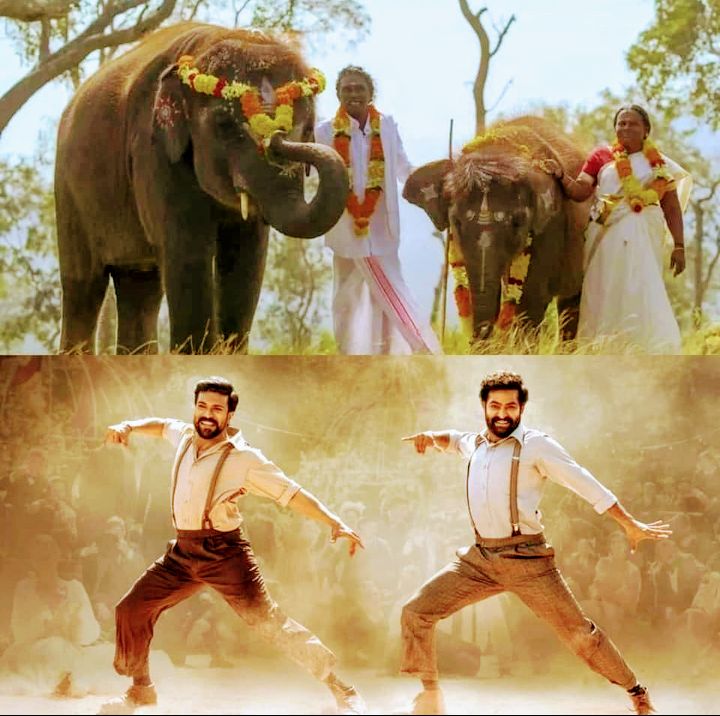 odhi_in's tweet photo. #Oscars95 #Oscars2023 
Heartly Congratulations to #RRR team inc. #Rajamouli
#Maragathamani #JrNTR #RamCharan and #ElephantWhisperers team #BabyElephant #KartikiGonsalves &amp; all team members. You make entire #India proud on #Oscar stage. https://t.co/akmjSrZo7a