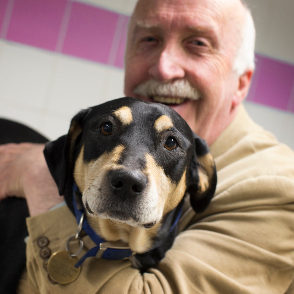 PDSA on Twitter ""Patch & I have the satisfaction of knowing that PDSA