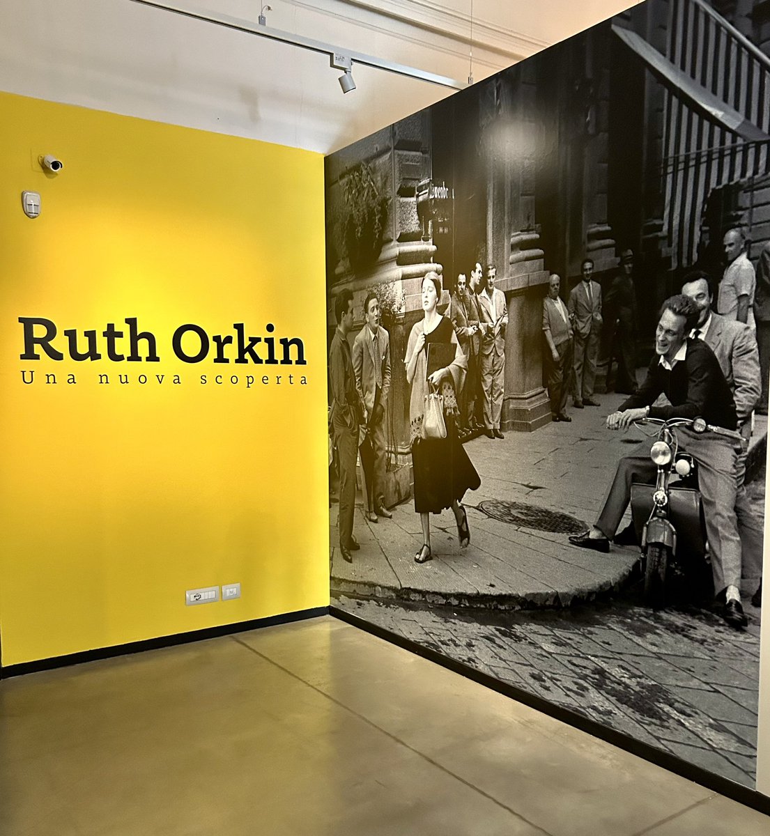 uncretinopienodiidee tweet media