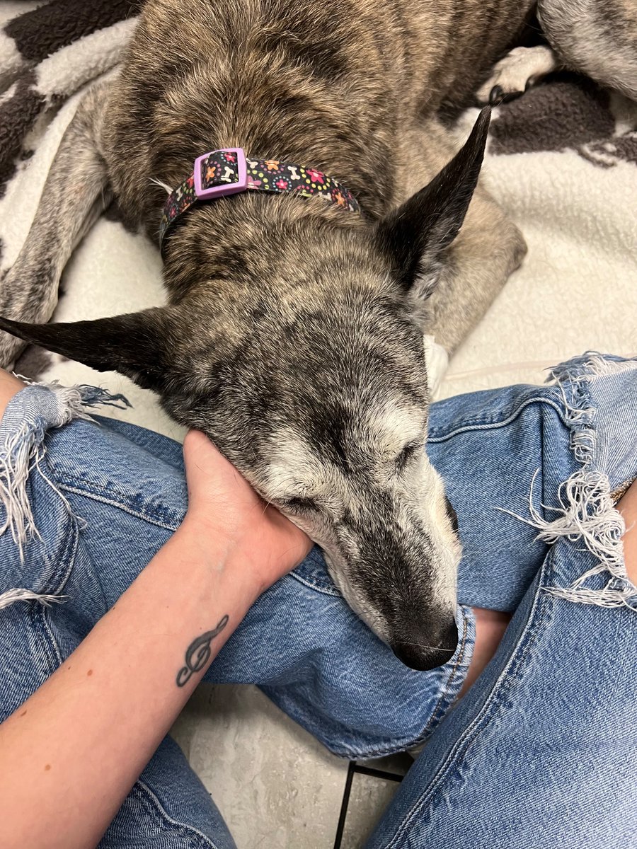 Jeff Iannucci tweet media