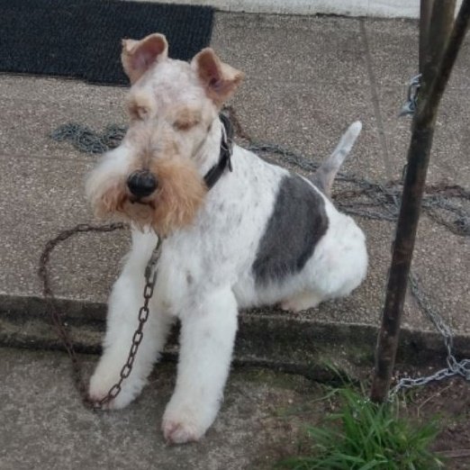 RemDumDum's tweet image. Je sors d une mise en beauté
#jango