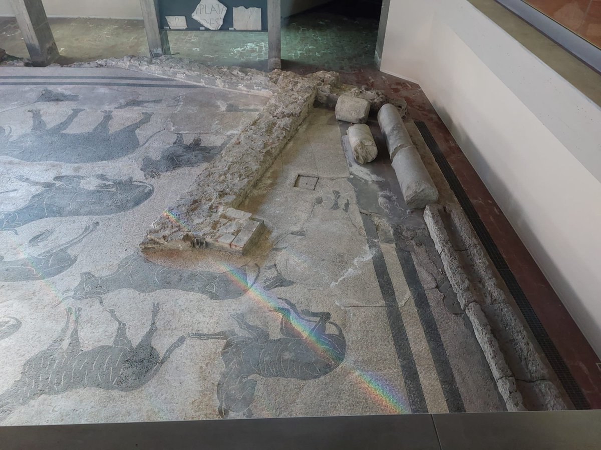 nano4light's tweet photo. Chemistry and history linked at Department of Chemistry Biology and Biotechnologies at the University of Perugia @UniperugiaNews #light #history #mosaic https://t.co/YKe5F42cIM